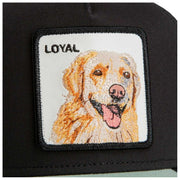 goorin-bros-the-loyal-dog-trucker-hat---void-black-35923140