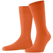 burlington-lord-socks---orange-34329558