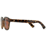 barner-andy-glossy-sunglasses---tortoise-brown-35935224