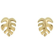 Beginnings Monstera Leaf Stud Earrings - Gold