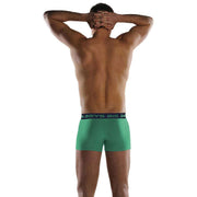 Big Boys Boxer Briefs - Green