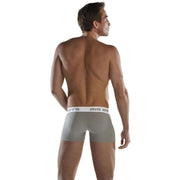 Big Boys Boxer Briefs - Steel Grey